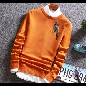 UGLY 🤢🤮 ORANGE CROW BIRD SWEATER THIN Halloween